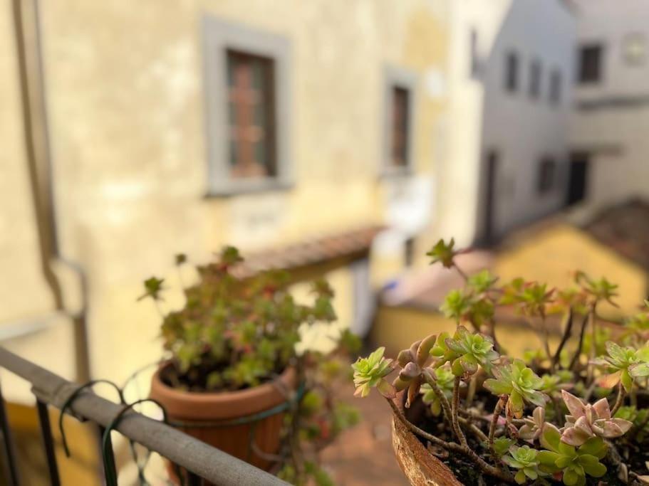 Il Canto De' Cenci Apartment Arezzo Exterior foto